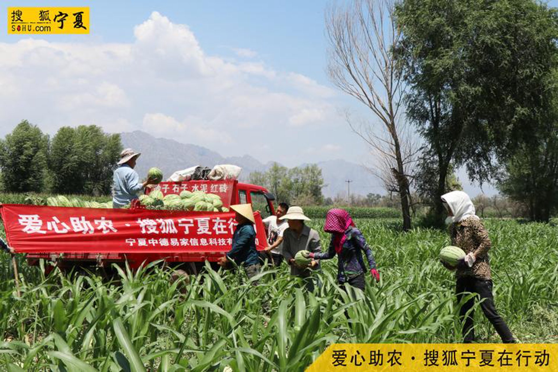 视频课程：学习的高效钥匙